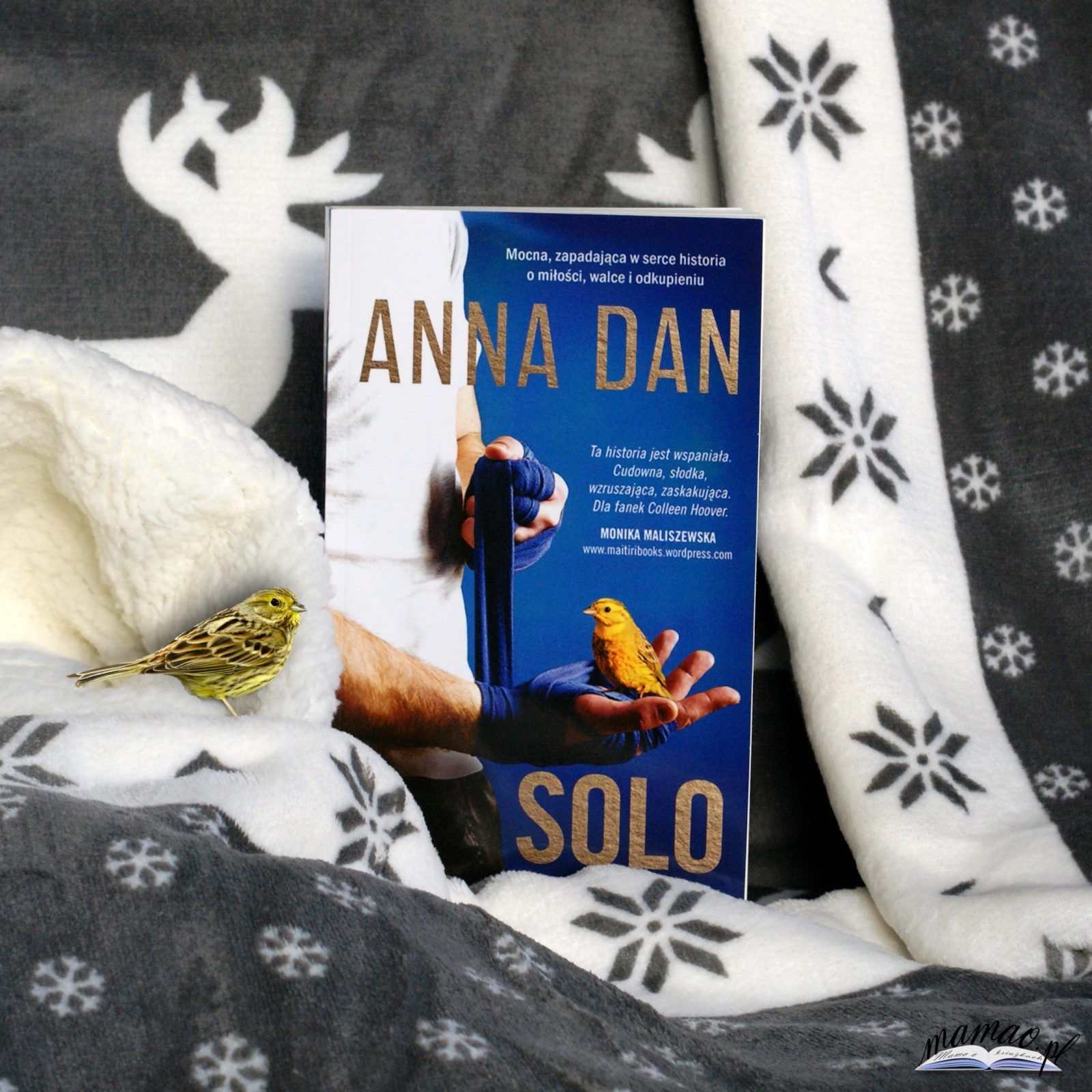 Anna Dan "Solo"